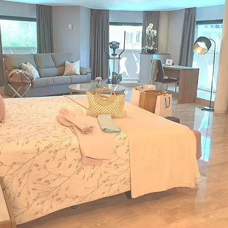 Nueva Plaza Hotel Maliaño